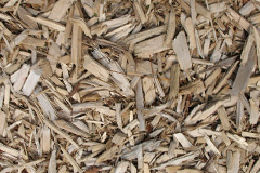 biomass boilers Pylle